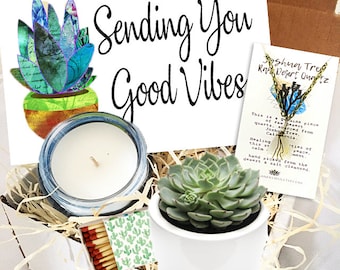 Sending You Good Vibes - Succulent gift box -  FREE SHIPPING  -cactus gift - Send A Gift - birthday present- friend gift get well soon