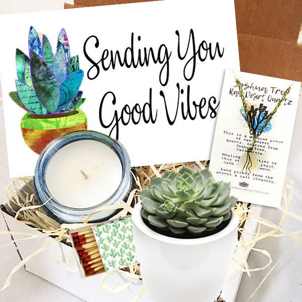 Sending You Good Vibes - Succulent gift box -  FREE SHIPPING  -cactus gift - Send A Gift - birthday present- friend gift get well soon