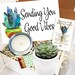 Sending You Good Vibes - Succulent gift box -  FREE SHIPPING  -cactus gift - Send A Gift - birthday present- friend gift get well soon 