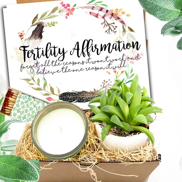Fertility Affirmation Succulent Gift Box - Gift Box for friend - Pregnancy wishes - Good luck - IVF Care Package - Trying to Conceive