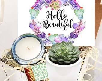 Hello Beautiful Sunshine Succulent Gift box - Live Succulent Box Send a Gift | Succulent Gift | Thinking of You | Birthday  | Miss You