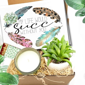 My Life Would Succ Without You  succulent in ceramic pot Box, , thanks, miss you care package, best friend gift, thank you gift, friend gift
