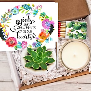 Condolence Gift for Pet Loss - Pet Loss Sympathy Gift Box - Live Succulent Care Package: Grief for cat or dog pet - Express Condolences