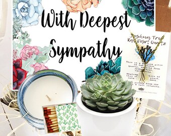 FREE SHIPPING - Sympathy Succulent Gift Box Set / Send a Gift  / Condolences / Funeral Gift / sorry gift / Deepest Sympathy /