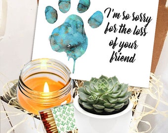 sorry for the loss of your friend - Live Succulent Pet Sympathy Gift Box - Care Package grief - FREE SHIPPING - Pet bereavement