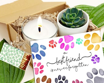 A best friend is never forgotten  - Live Succulent Pet Sympathy Gift Box - Grief Care, Thinking of You, Pet Loss Tribute, Dog or Cat Loss