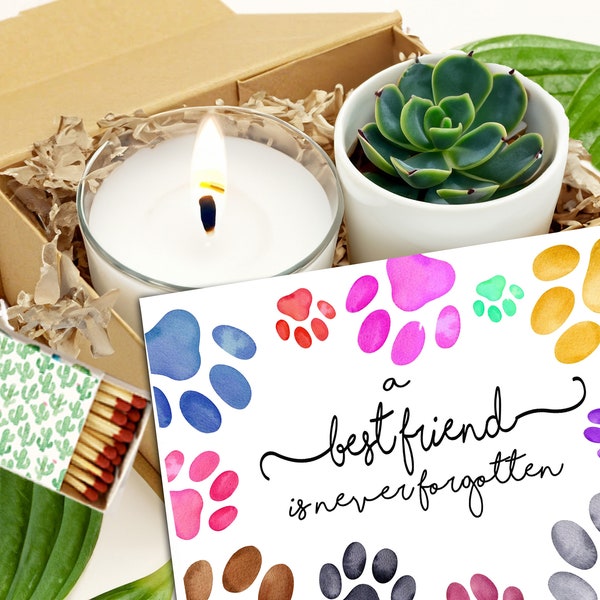 A best friend is never forgotten  - Live Succulent Pet Sympathy Gift Box - Grief Care, Thinking of You, Pet Loss Tribute, Dog or Cat Loss