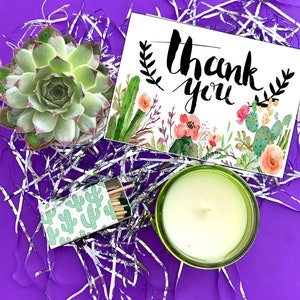 Thank You Live Succulent Gift Box - Send a Gift - Appreciation box - thank you so much - thanks - Teacher Thanks / Mentor / Boss / Pastor