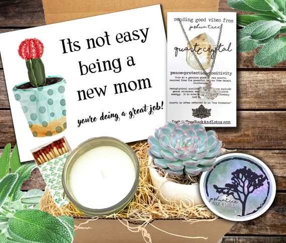 New Parents Gift Succulent Gift Box Parents to Be Ideas New Mom Gift Baby  Shower Gifts New Parents Gift Send a Gift Custom Gift 