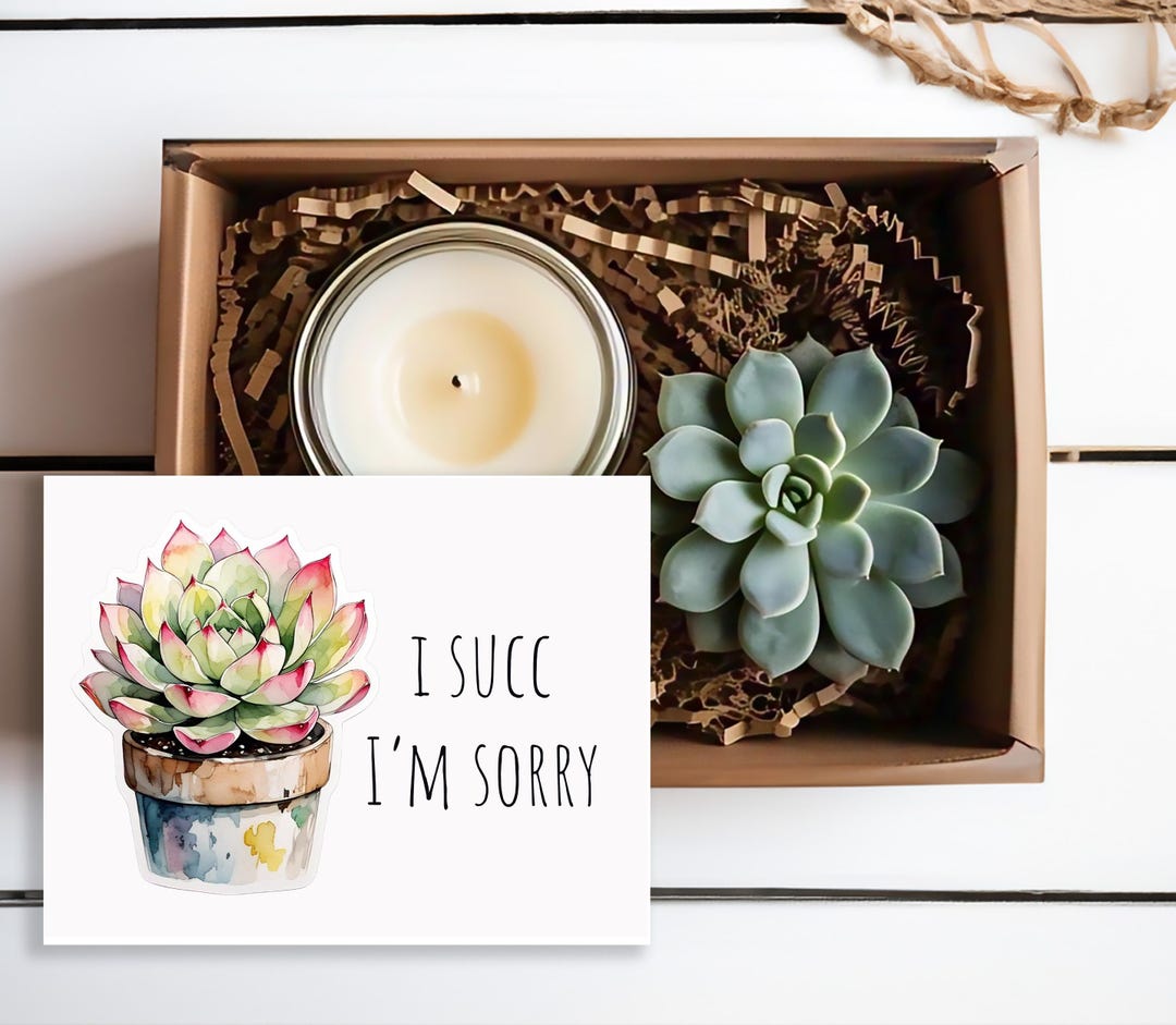 Apology Succulent Gift Box Set - Customizable Options With Crystal ...