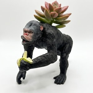 May include: A black gorilla-shaped planter holding a yellow banana. A succulent plant with green and pink leaves grows from the gorilla's back. The planter is on a white background.