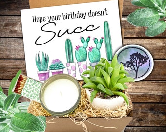 Hope Your Birthday Doesnt Succ Gift Set-Free shipping - succulent gift box - succulent in a ceramic pot with card - happy bday