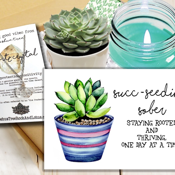 Happy Soberversary - Sobriety gift succulent box- Succulent gift box -  unisex sobriety gift    congrats on sobriety - sobriety birthday