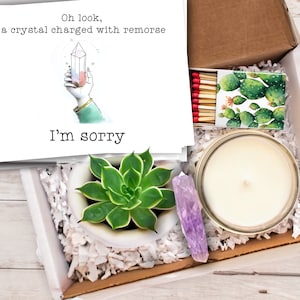 Im Sorry - HUMEROUS succulent gift box with crystal - Im Sorry Gift  / Apology gift box  - cheeky heartfelt reconciliation gift box