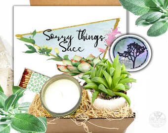 Succulent Gift Box - Sympathy gift - Sorry things succ - Encouragement Care Package - Cheer up - Sunshine Gift Box -