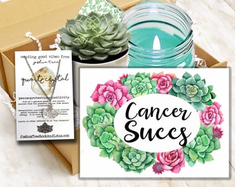 Cancer Succs Succulent Gift Box with Necklace -  Support for Cancer Warriors, Surgery Recovery, and Hospital Stays / Breast Cancer Support