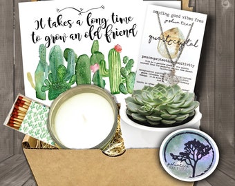 Friendship Succulent Gift Box - Send a Birthday Gift | Succulent Gift | Friend Gift | Succulent Birthday Card | Thinking of you Gift for her