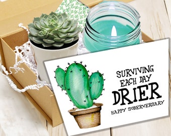 Living Drier - Happy Soberversary Sobriety-themed succulent gift set Unisex - Celebrate Being Clean - congrats sobriety - sobriety birthday