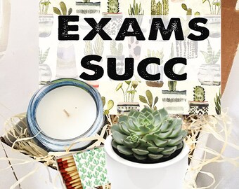 Exams Succ - Succulent in ceramic planter Gift box - Good Luck on your Exams - Finals - College Gift Box  Care Package