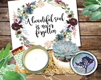 Sunshine Sympathy Gift Box: A Beautiful Soul Never Forgotten - Uplifting Succulents & Encouragement Care Package / Sympathy and Bereavement