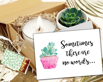 Succulent Gift Box - Sympathy gift - Sometimes there are no words - Encouragement Care Package - Cheer up - Sunshine Gift Box Sorry for loss