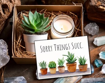 May include: A gift box containing a green succulent in a white pot and a lit candle in a glass jar, accompanied by a white greeting card featuring a watercolor illustration of five potted succulents and the black text Sorry Things Succ.