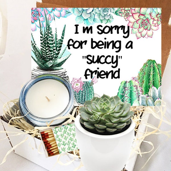 Sorry for being a succy friend - succulent in ceramic planter and candle gift box set - apology gift - forgive me gift