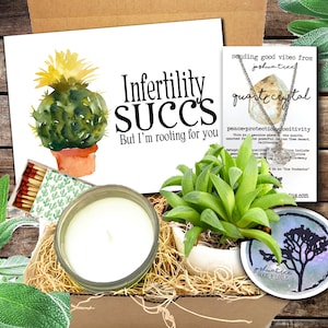 Infertility Succs - Succulent, Candle and Crystal Necklace Encouragement Care Package - Cheer Up Gift Box - Thinking of you - Fertility ivf