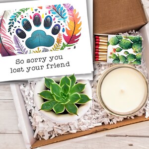 So sorry you lost your friend - Live Succulent Pet Sympathy Gift Box - Care Package grief - FREE SHIPPING - Pet bereavement
