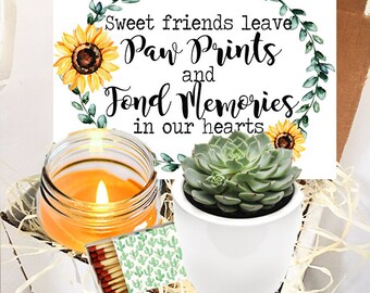 Sweet Friends Leave Paw Prints on Your Heart - Succulent and Candle Gift Box - Pet Loss Car Package - Sorry for your Loss