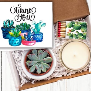 Thank You for Helping Us Grow - Corporate Gifts - Coworker Appreciation - Live Succulent Gift Box - Employee Thank You Gift