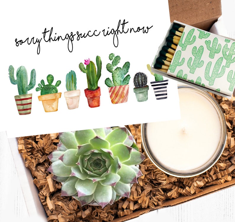 Succulent Gift Box Sympathy gift Sorry things succ right ...