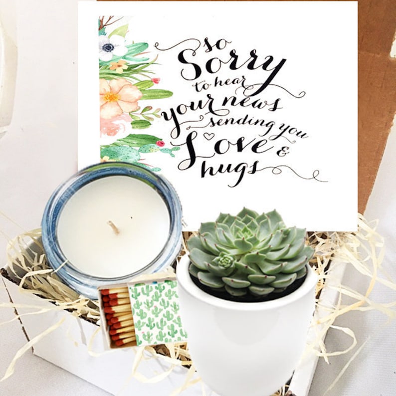 Sympathy Bereavement Succulent Mini Gift Box so Sorry to Etsy