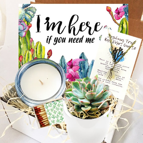 Live Succulent Gift Box Set - Free Shipping / Send a Gift / I'm Here If You  Need Me Care Package / Cheer up Gift - Surgery Gift Break Up - Etsy