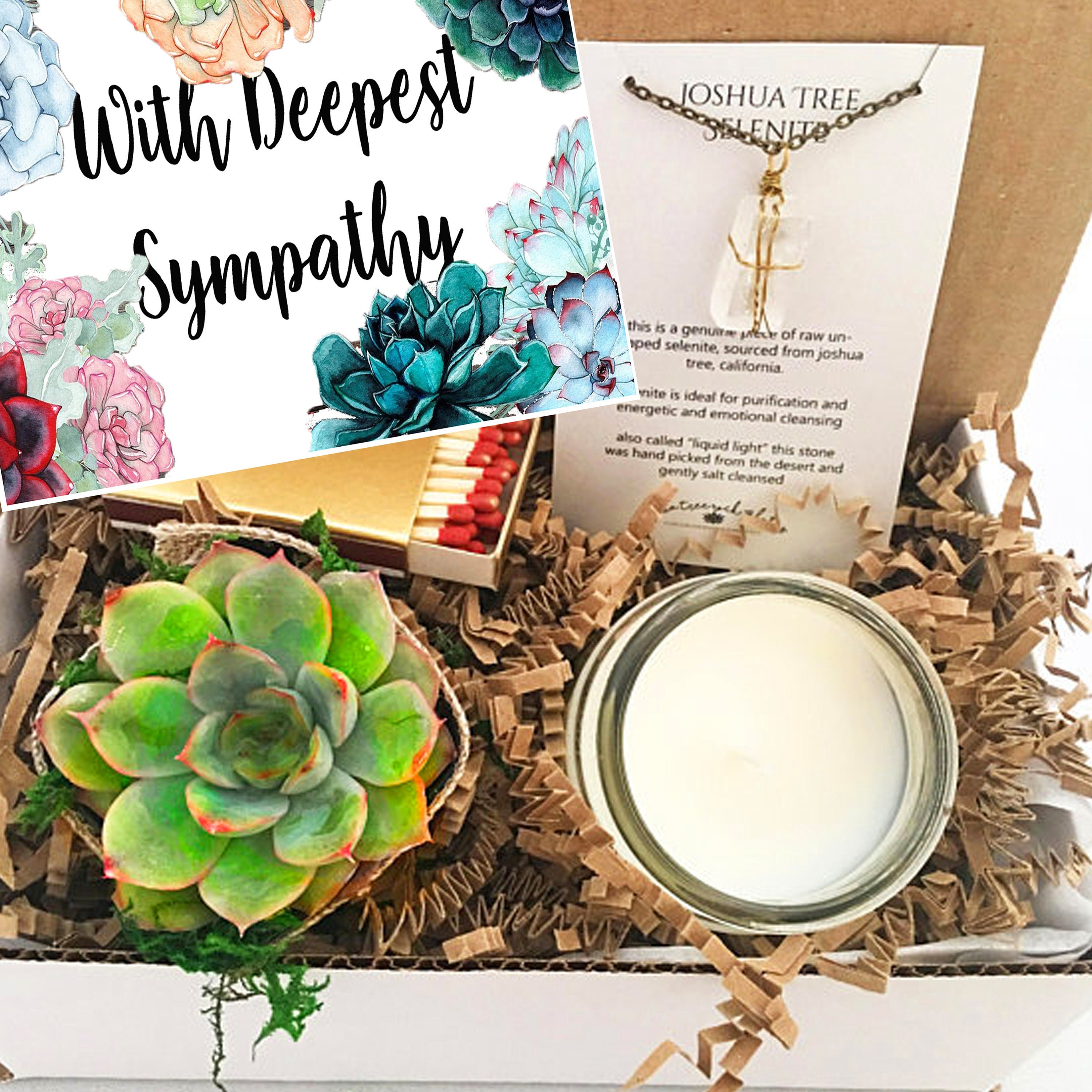 Sympathy Succulent Gift Box Set Etsy
