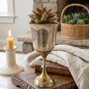 May include: A succulent plant in a silver-colored chalice-shaped planter with etched floral designs. The planter sits on a wooden tray with a book titled "Curated Living". A lit candle and a basket with plants are in the background.