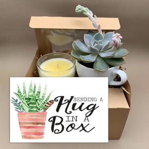 Sending a Hug in a box  - Succulent and Candle Gift Box - Grief Gift - Sorry for your Loss Care Package - Socially Distanced Gift Box, Mom