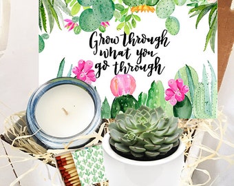 Grow through what you go through Succulent Gift Box  - Send a Gift  Cheer Up / Divorce / Break Up  / Sympathy /thinking of you