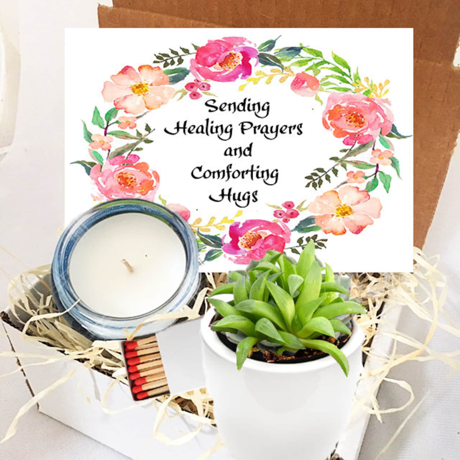 Sending Healing Prayers & Comforting Hugs Succulent in Etsy