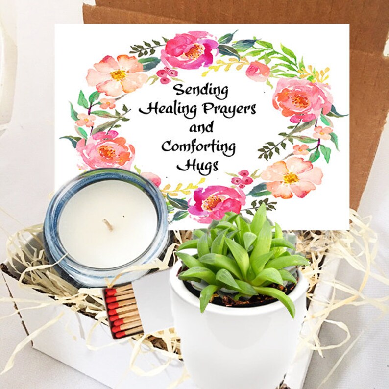 Sending Healing Prayers & Comforting Hugs Succulent in Etsy