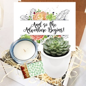 So the Adventure Begins Congratulations Succulent & Candle Gift Box | Encouragement and Celebratory Gift | New Journey or Milestone Present