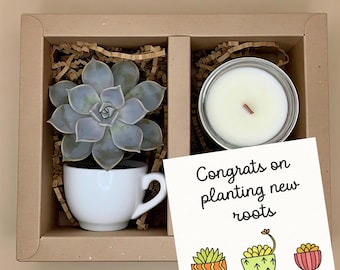 Succulent Candle Gift Box: New Home Housewarming Present