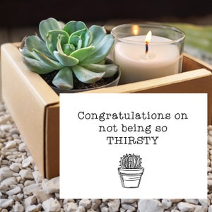 May include: A white card with the text "Congratulations on not being so THIRSTY" and a black and white illustration of a cactus in a pot. The card is sitting on a brown box with a succulent plant and a lit candle inside.