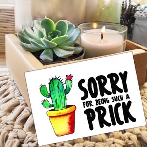 I&#39;m sorry for being a prick -  Live Succulent Box - apology gift - candle &  live succulent - forgive me - Sorry gift - apology girlfriend