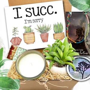 Apology Gift - I succ - I&#39;m sorry Succulent Mini Gift Box - Sunshine gift - Regrets gift - Apology gift for her / Unisex gift box /