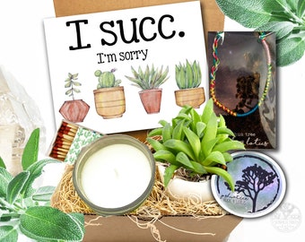 Apology Gift - I succ - I'm sorry Succulent Mini Gift Box - Sunshine gift - Regrets gift - Bridezilla