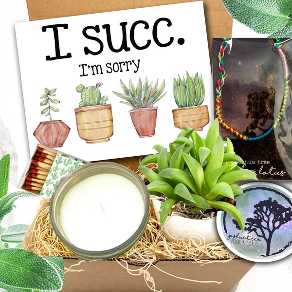 Apology Gift - I succ - I'm sorry Succulent Mini Gift Box - Sunshine gift - Regrets gift - Bridezilla