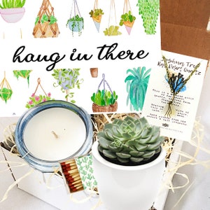 Hang in There - Live Succulent Gift Box - Send a Gift | Succulent Gift | Cheer Up |  Get Well |  New Job |  Sorry for your loss - encourage