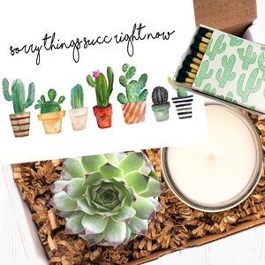 May include: A gift box filled with brown packing paper, a white candle, a small green succulent plant, and a card with the text "sorry things suck right now". The card is decorated with a row of watercolor cactus plants in pots.