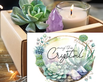 Sending Healing Vibes Succulent Gift Box with Crystal and Candle - May the crystal heal the shi* out of you - funny get well box -
